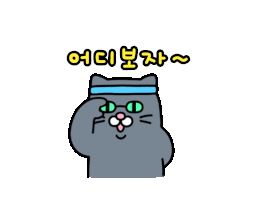 어디보자.JPG 어디보자.JPG